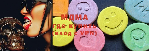 индика Елизово