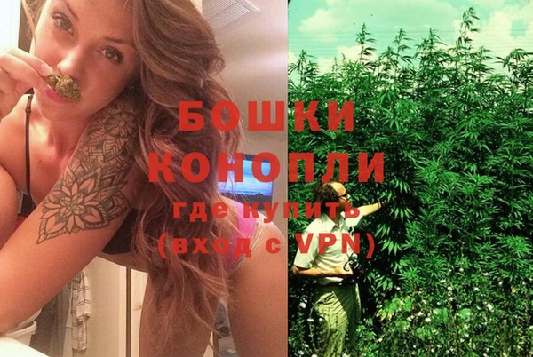 эйфоретик Заволжье