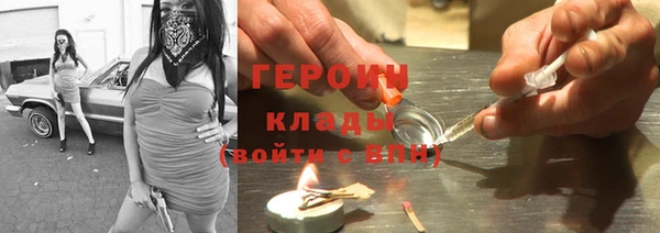 индика Елизово