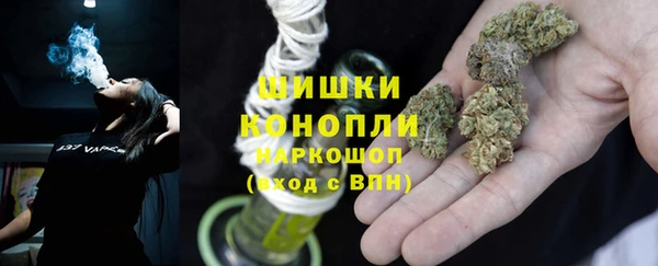 индика Елизово