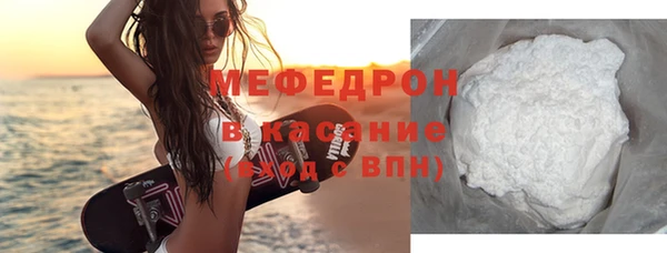 индика Елизово