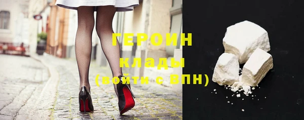 индика Елизово