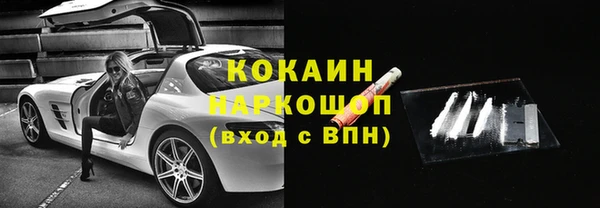 индика Елизово