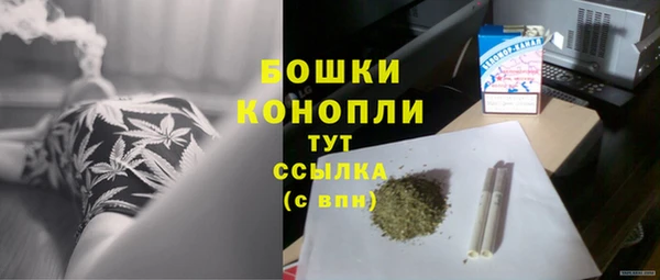 индика Елизово