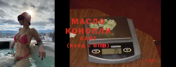 индика Елизово