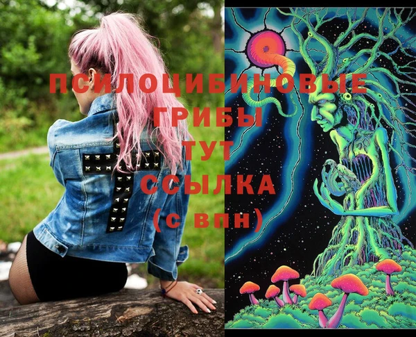 индика Елизово