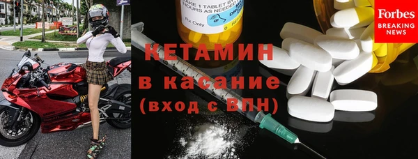 индика Елизово