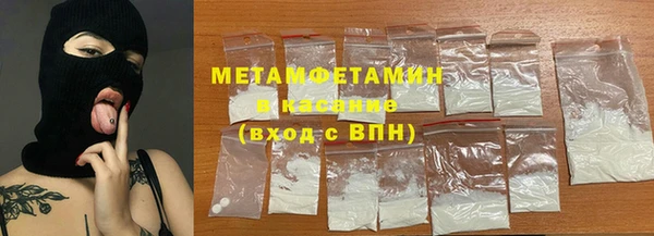 индика Елизово