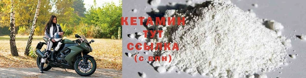 индика Елизово