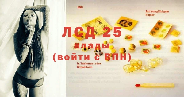 индика Елизово